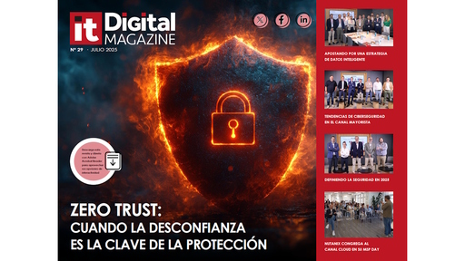 Portada ITDM 29 S